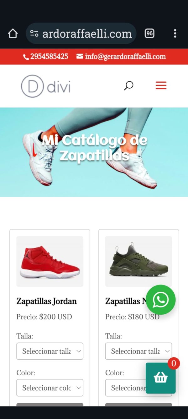 Catálogo Venta de Zapatillas